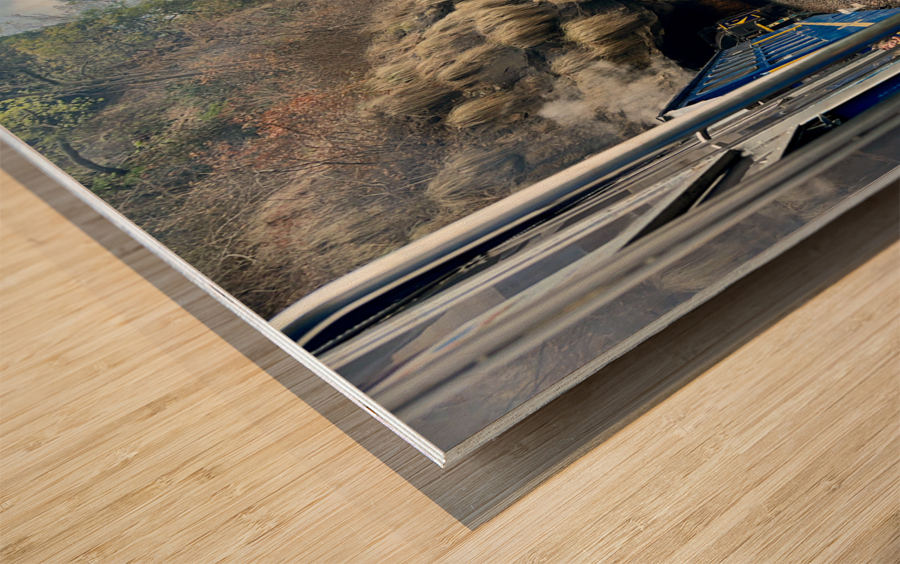 Toy Train Tunnel Wood print