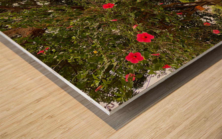 Red Flowers Gate Impression sur bois