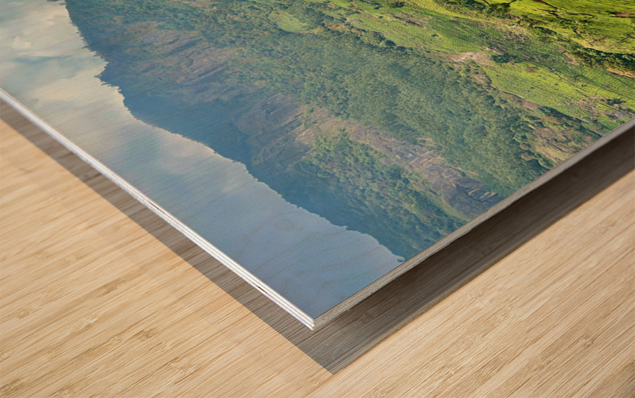 Tea Plantations 2 Wood print