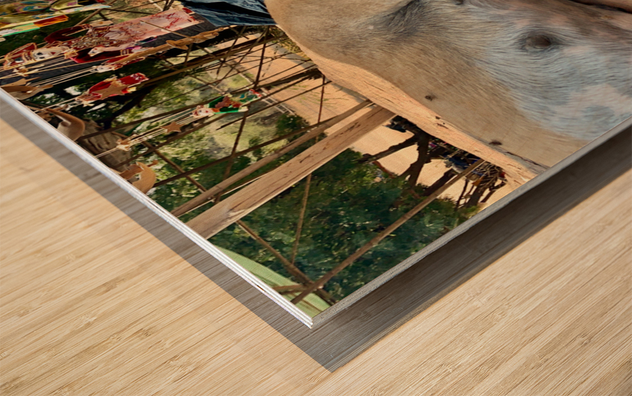 Doggie Afternoon Nap Wood print