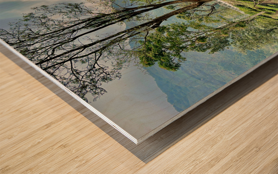 Drive Through Tea Plantations Wood print