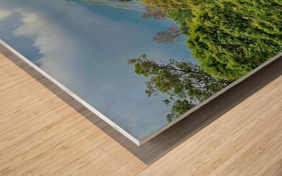 Tea Plantations 1 Wood print