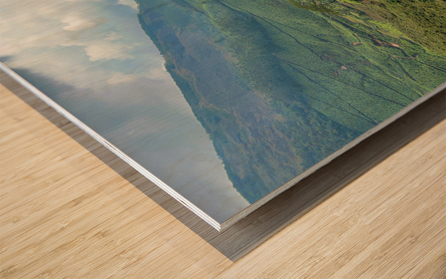Tea Plantations 4 Wood print