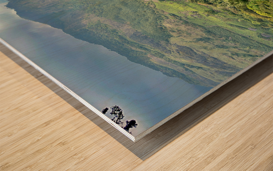 Tea Plantations 3 Wood print