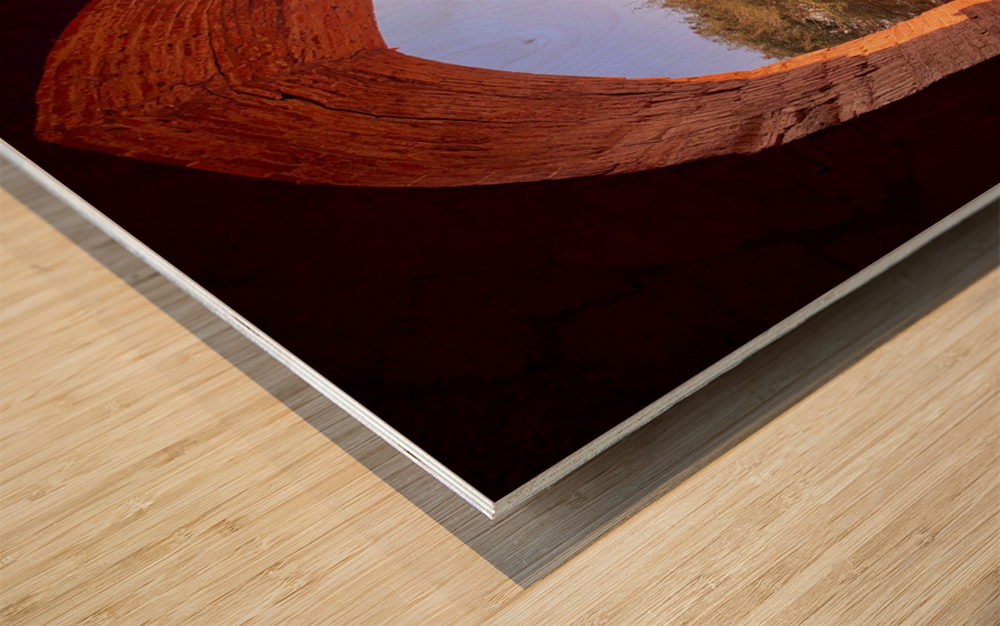 Tree by the window Wood print