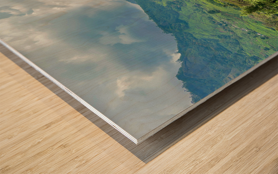 Tea Plantation Wonders Wood print