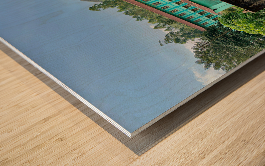 Living in the Tea Plantation Wood print