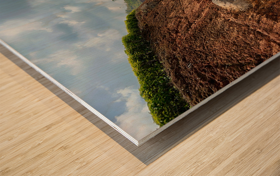 Drive by the Curve  Wood print