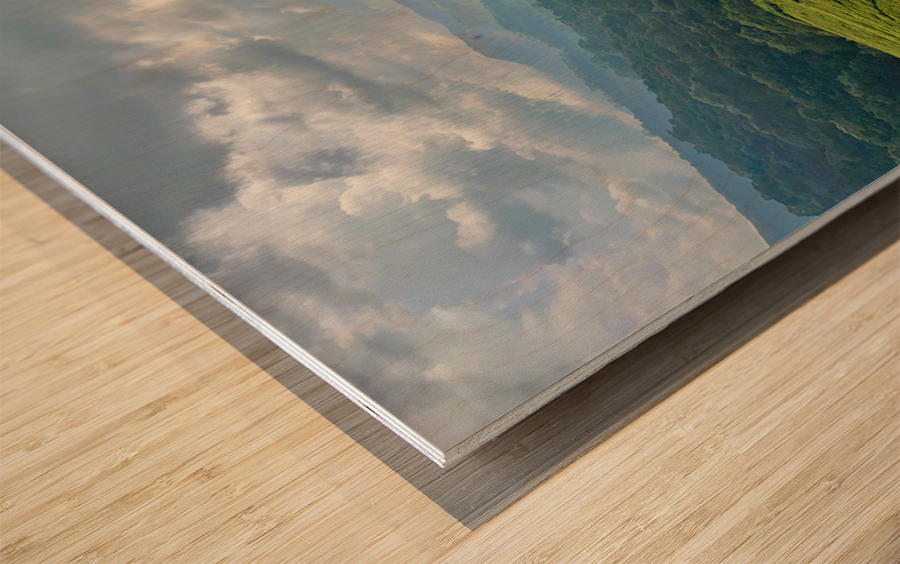 Tea Plantations 5 Wood print