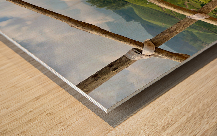 Peak a Tree Wood print