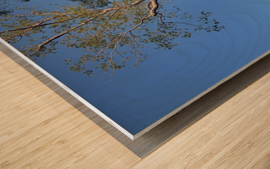 Temple Tree 2 Wood print