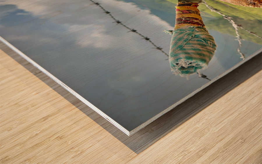 Coconut Knife 2 Wood print