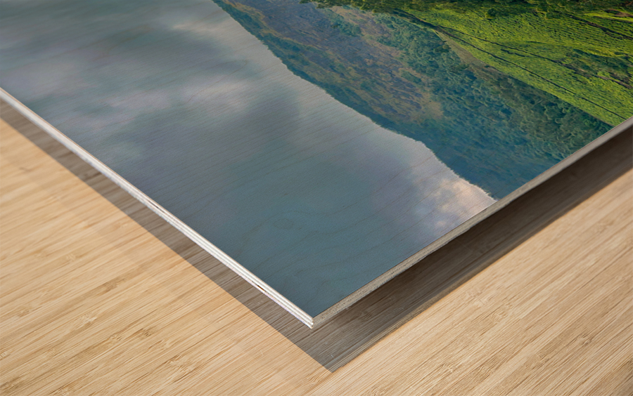 Tea Plantations 6 Wood print