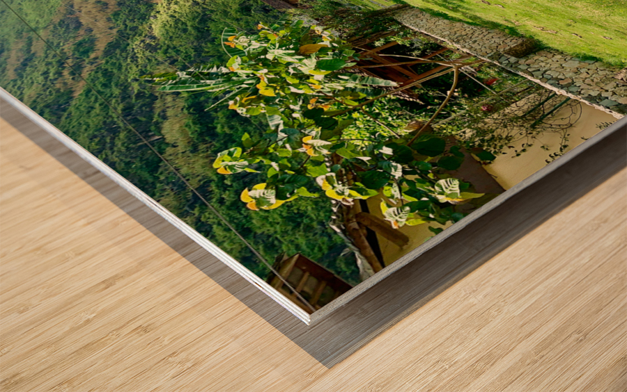 Half trees Impression sur bois