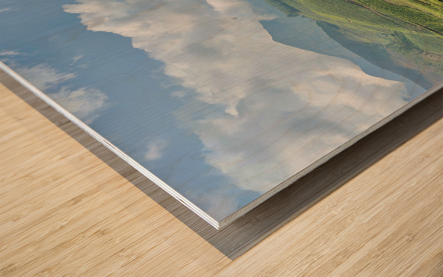 Tree Through the Tea 2 Wood print