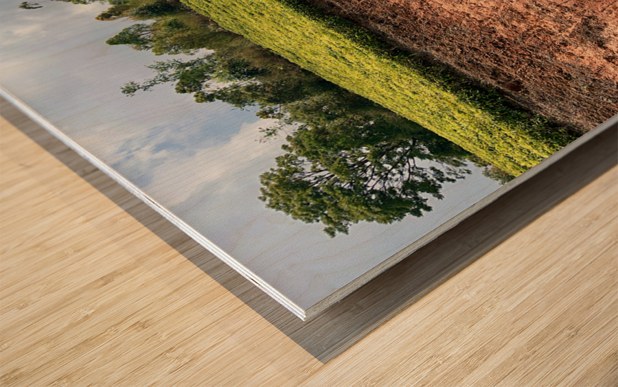 Tea by the Road Wood print