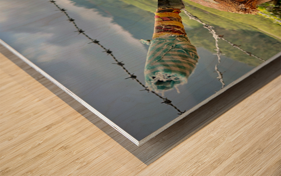 Coconut Knife Wood print