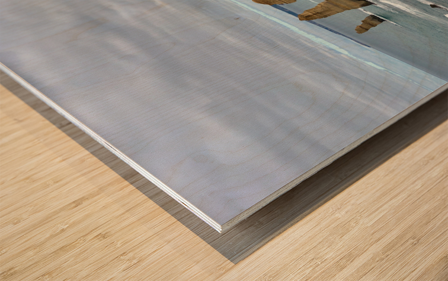 The 12 Apostles Wood print