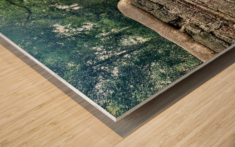 Temple Tree Wood print