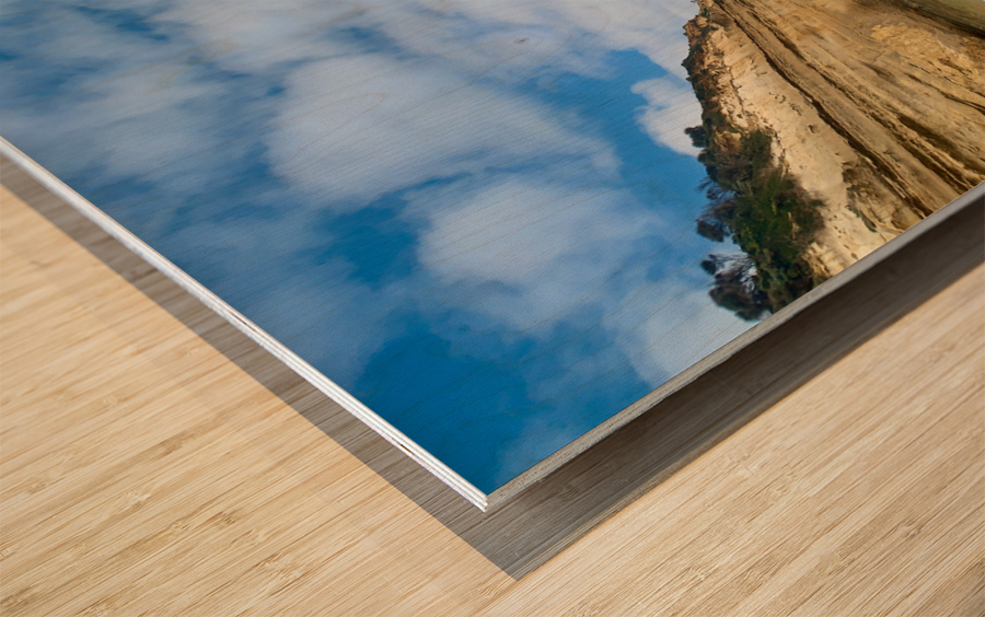 Bird on the Beach Wood print