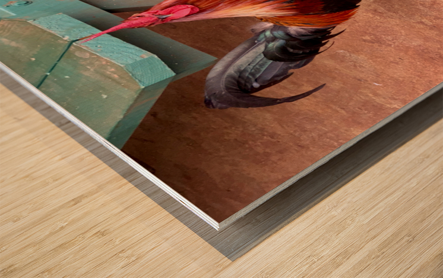 Rooster by the Table Wood print