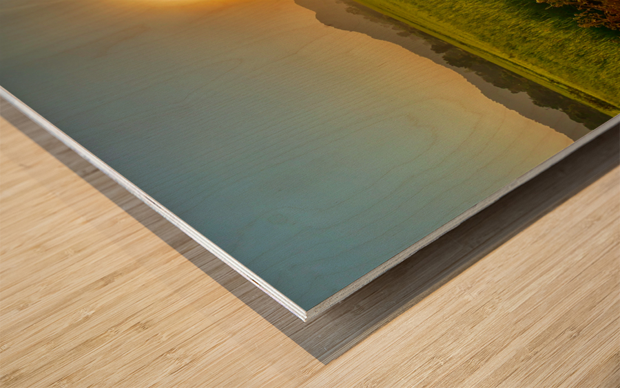 Sunset Over the Field Wood print