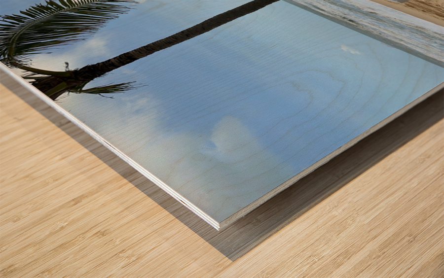 Piano on the Beach Wood print