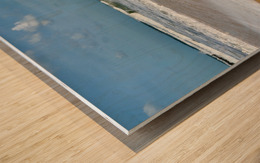 Enter the Wave Wood print