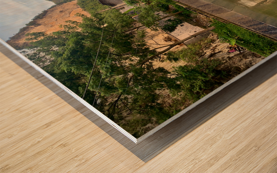 Water Buffalo Bathing Wood print