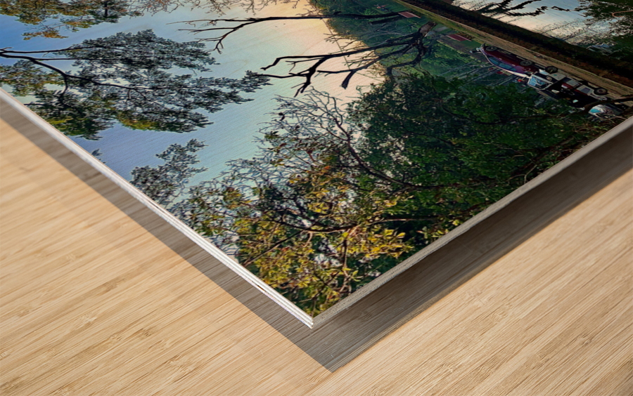 Village Reflection Wood print
