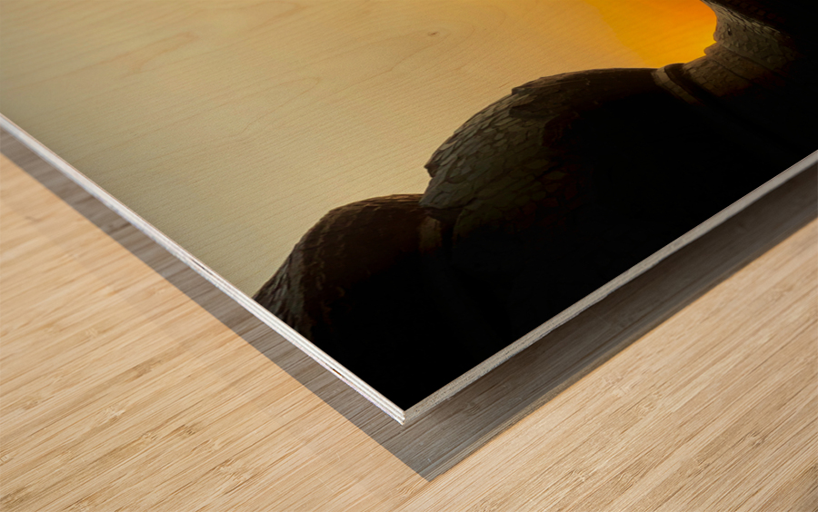 Meditative Monkey at Sunset Wood print