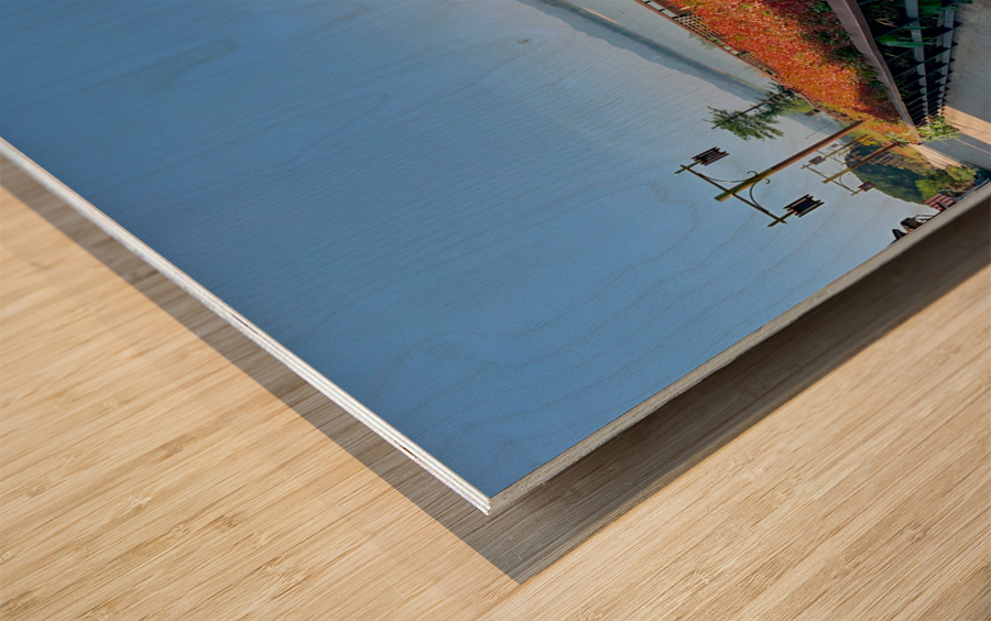 Along the Mekong River Wood print