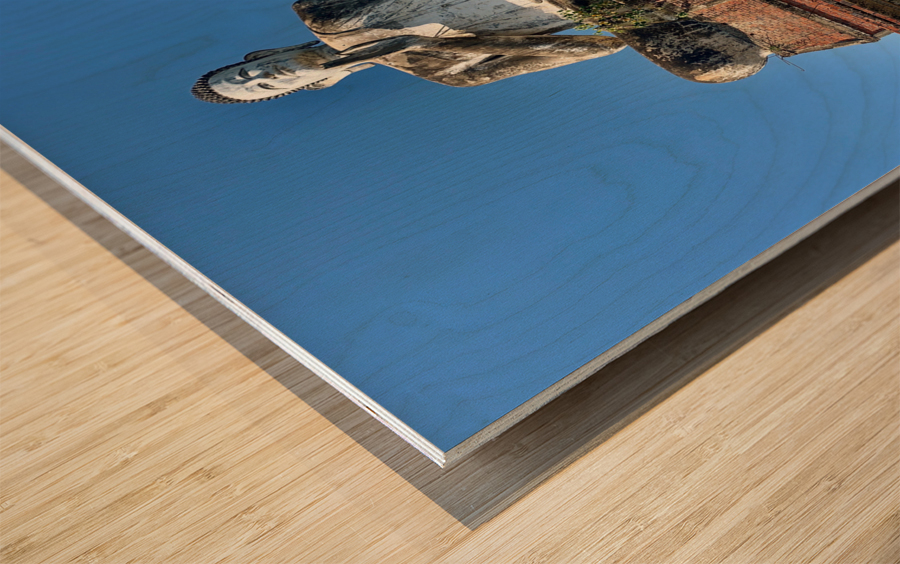 Buddha Monument Wood print