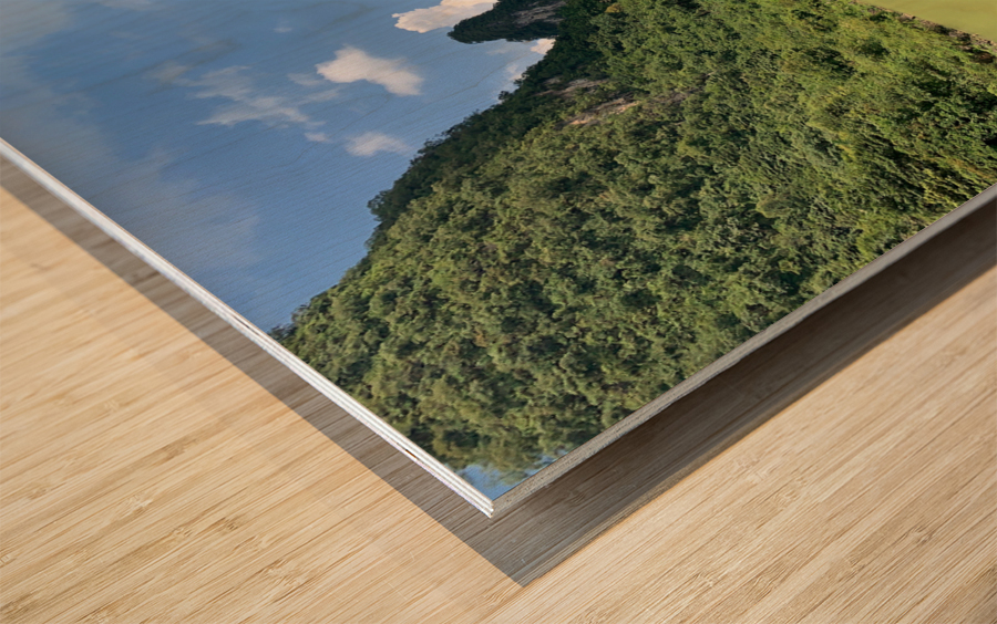 Bamboo Raft in the Mountains Wood print