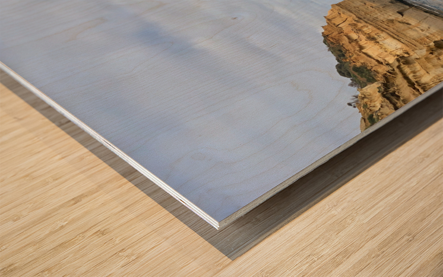 Bird on the Beach 2 Wood print