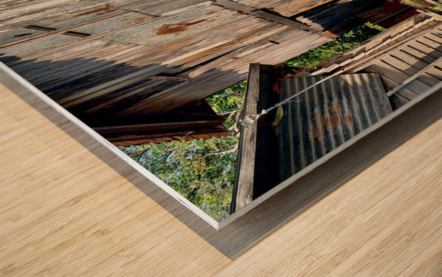 Behind the House Wood print