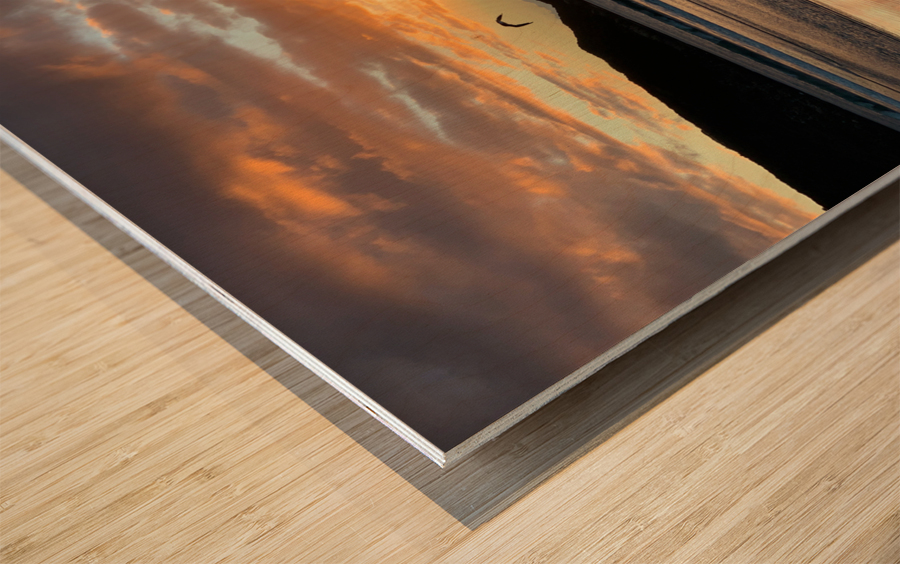 Amazing Sunset with Bird Wood print
