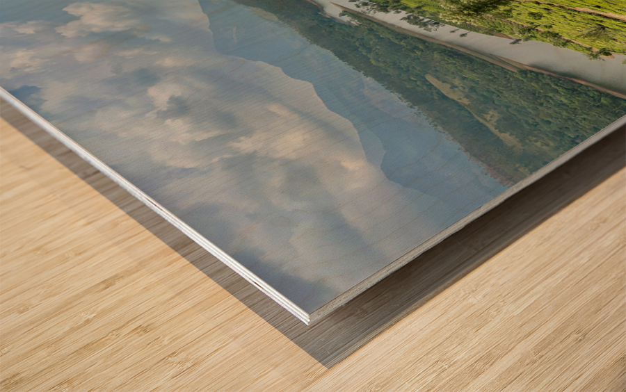 Cow with a View Wood print