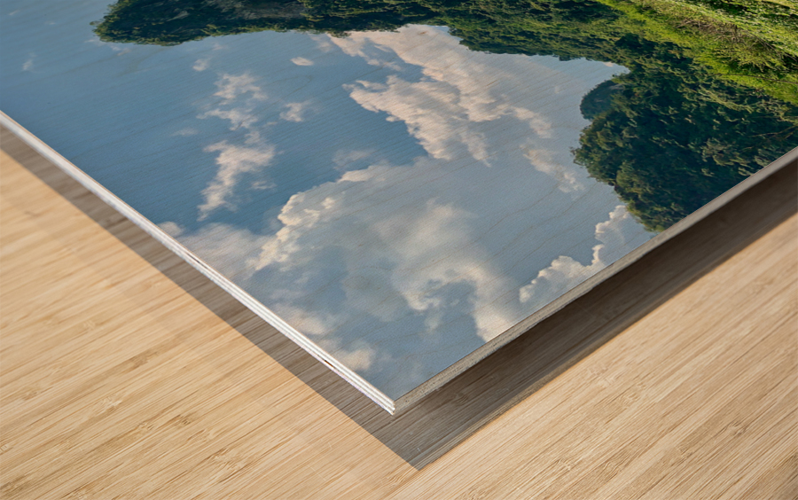 Horses by Angle Eye Mountain Wood print