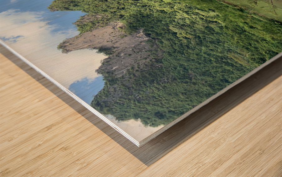 Horses in Paradise Wood print