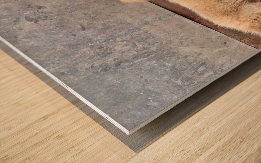 Flip Flop Puppy Wood print