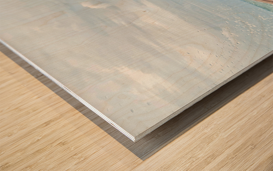 Front of Long Tail Boat Wood print