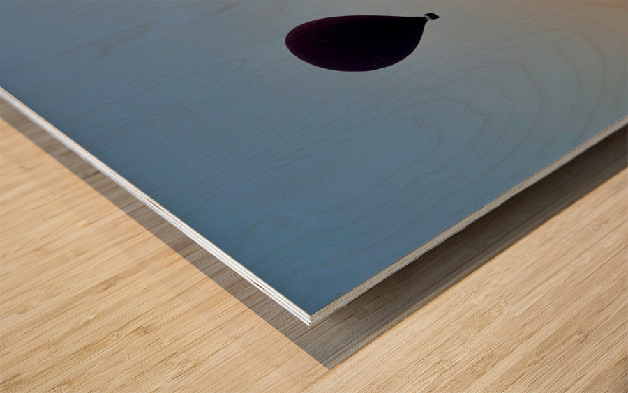 Hot Air Ballons at Sunrise Wood print