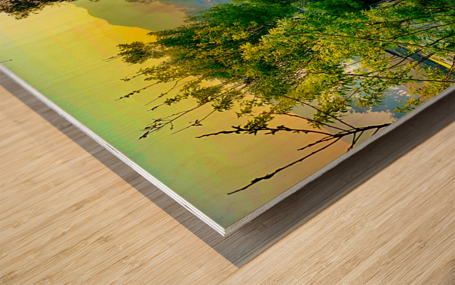 Colorful River Wood print