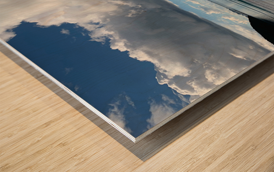 Half Nice Half Rain 2 Wood print