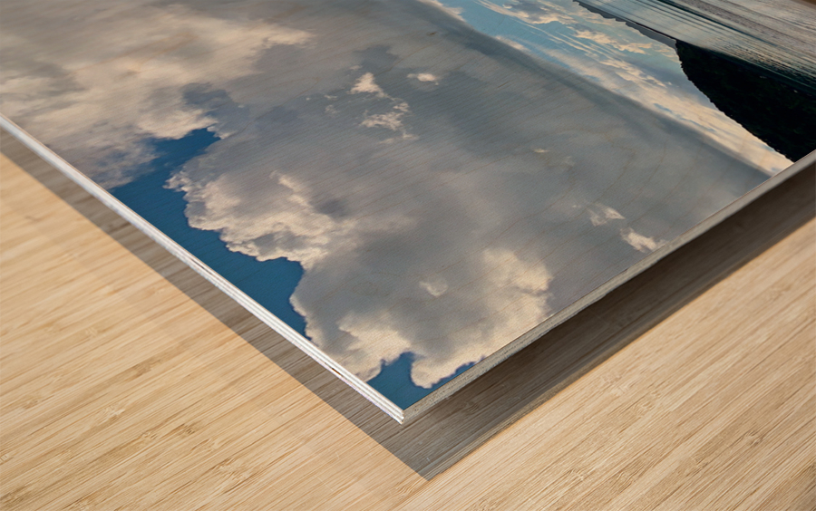 Half Nice Half Rain Wood print