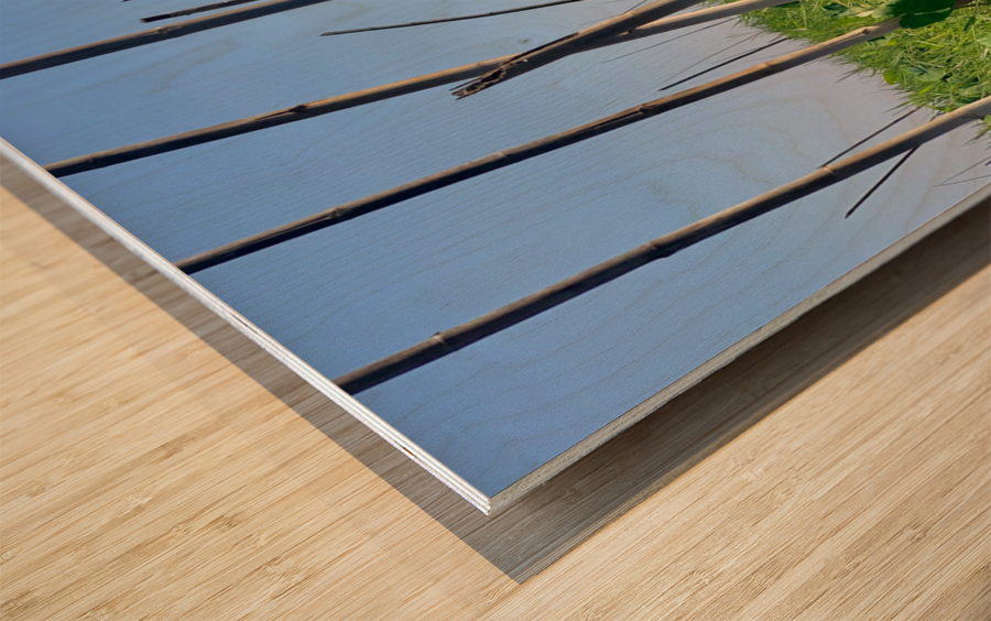 House behind the Bamboos Impression sur bois