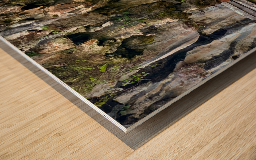 Hanging Coffins Wood print