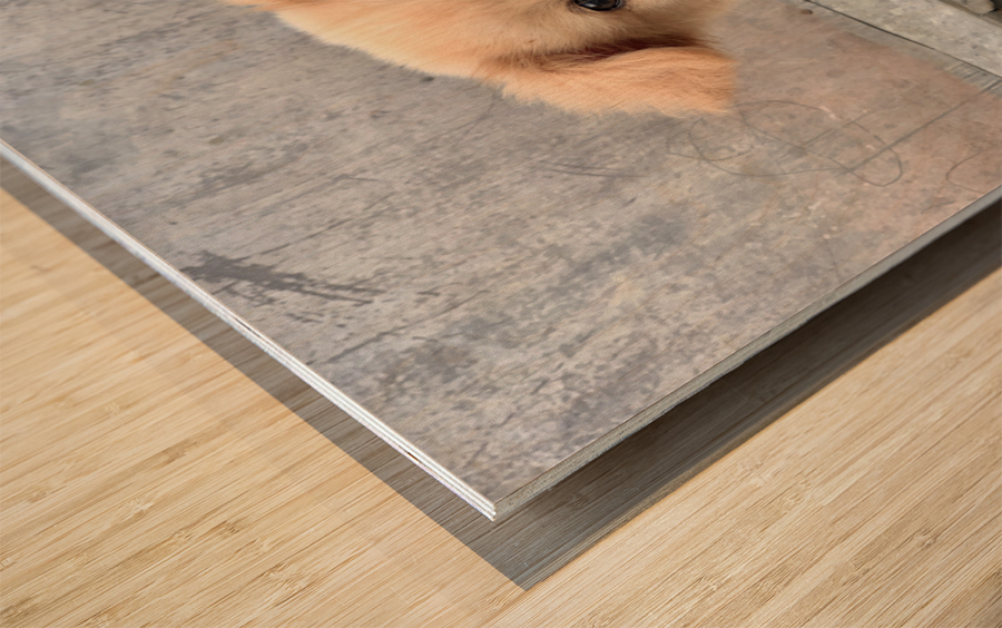 Cutest Puppy Ever Posing Wood print