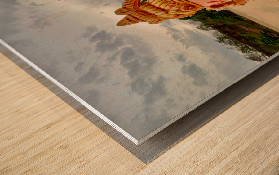 Ganesh on the Beach Impression sur bois